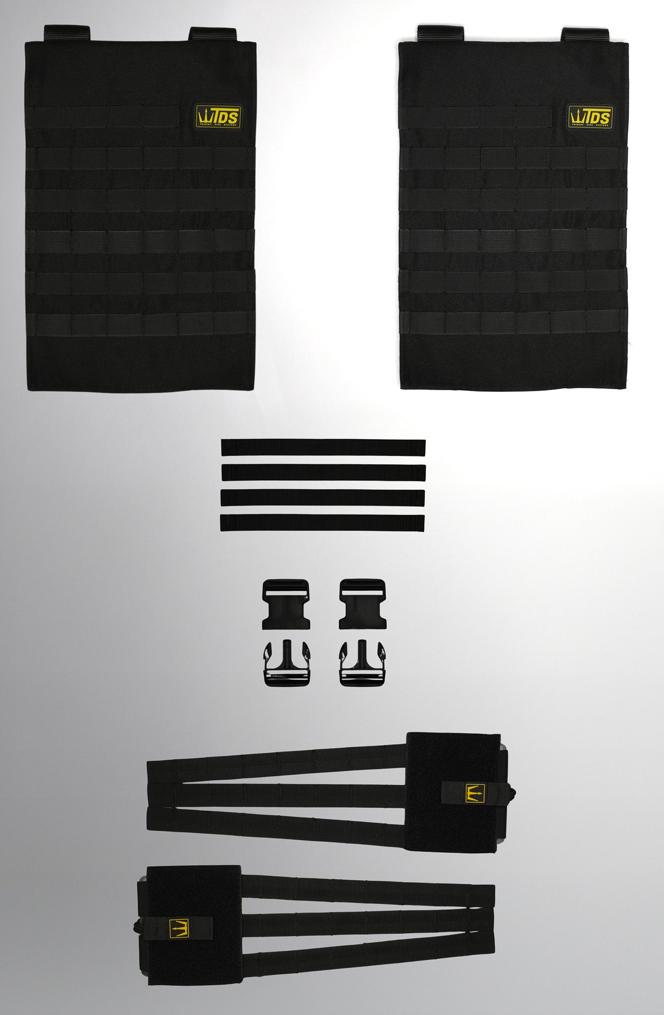 Dual System
